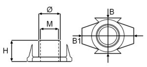 disegno-ragni