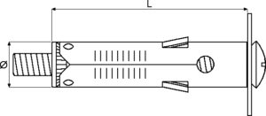 disegno-t61v